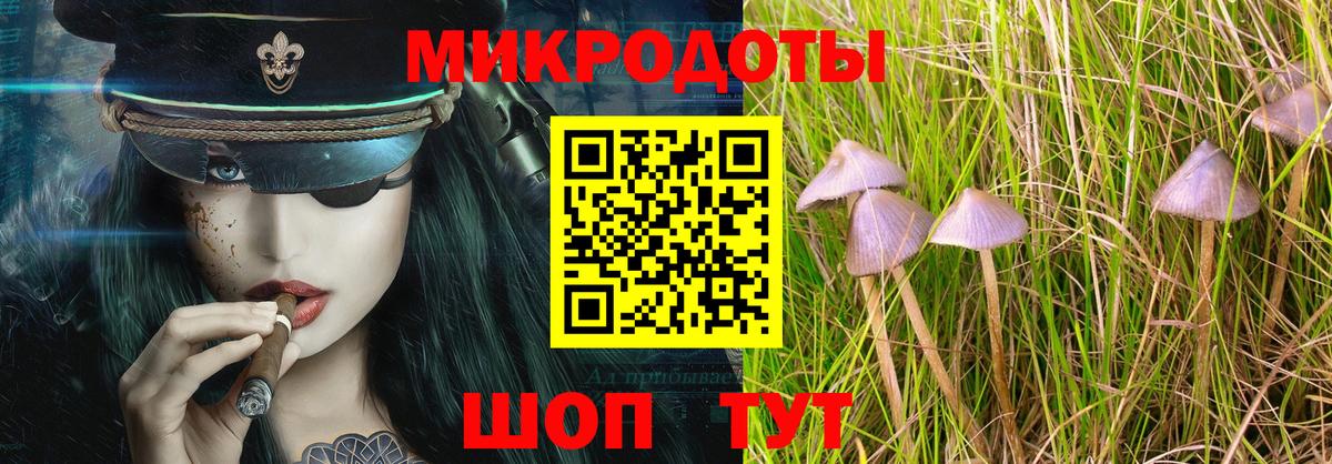 Славянск-на-Кубани  Галлюциногенные грибы Cubensis  Галлюциногенные грибы Magic Shrooms  Вход с VPN 
