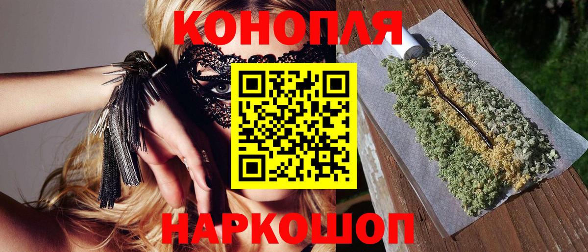 Бошки Шишки планчик Славянск-на-Кубани